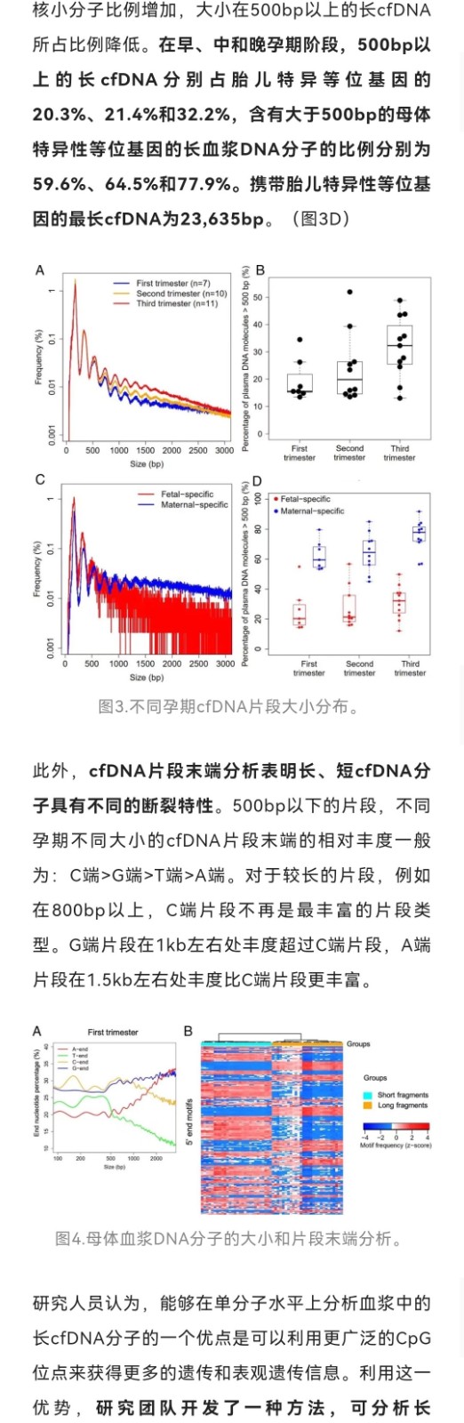 PNAS | 最长23kb！卢煜明团队证实孕妇血浆中存在大量长片段胎儿cfDNA