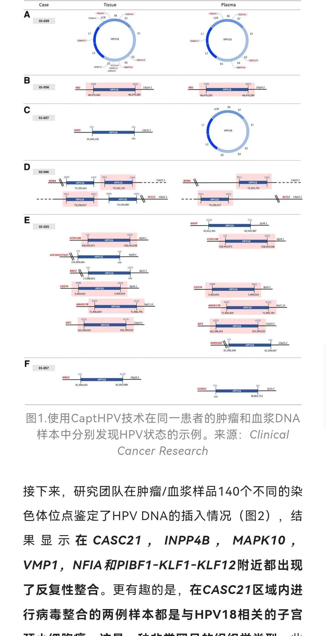Clincancerres | 基于NGS的CaptHPV液体活检方法，可用于不