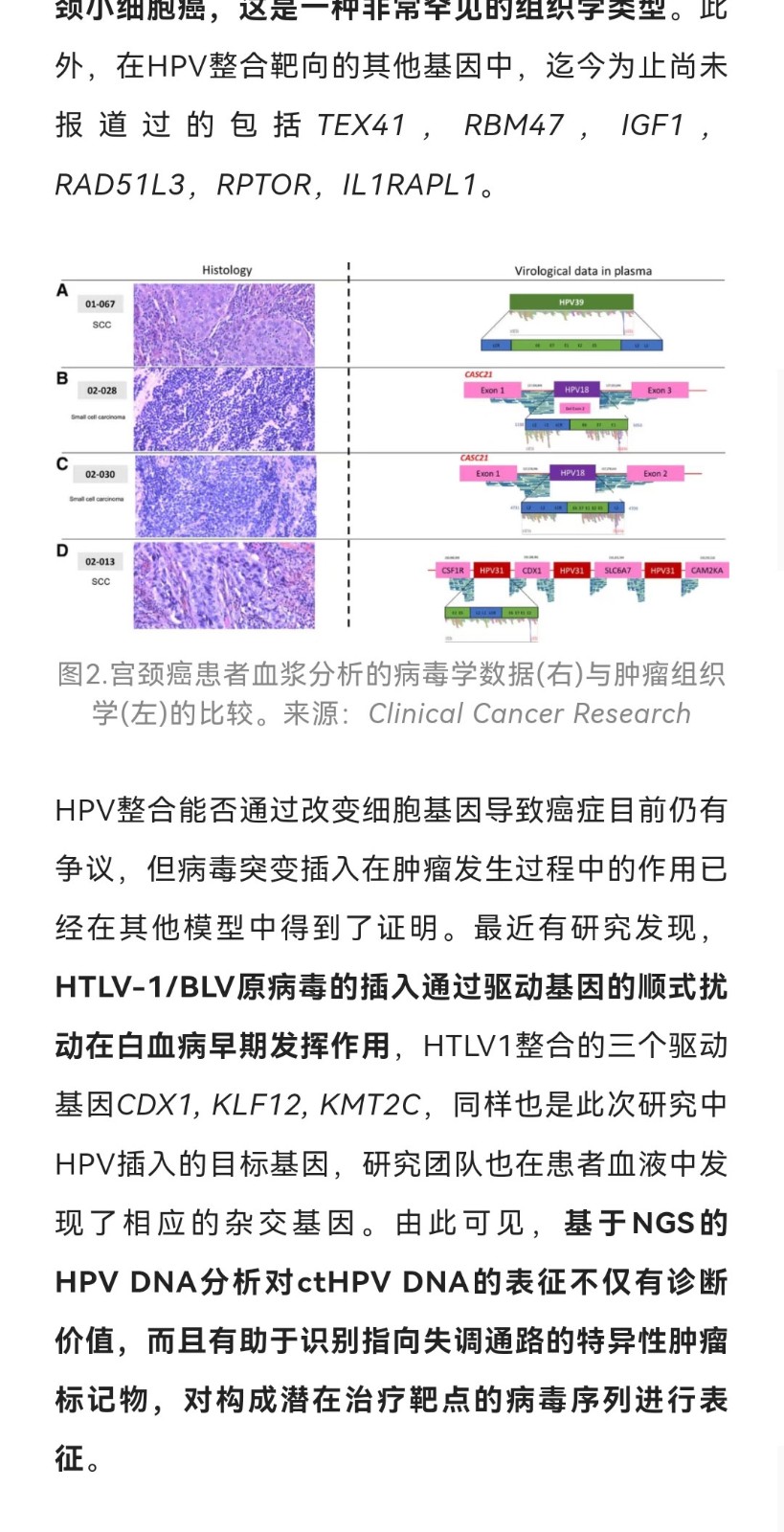 Clincancerres | 基于NGS的CaptHPV液体活检方法，可用于不