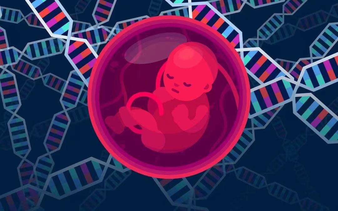 PNAS | 最长23kb！卢煜明团队证实孕妇血浆中存在大量长片段胎儿cfDNA
